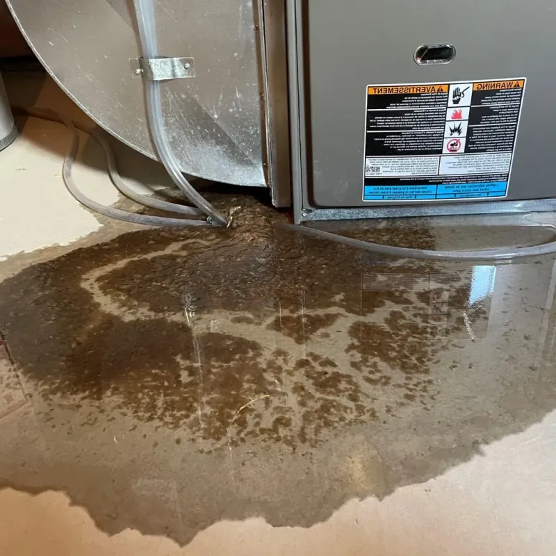 Pipe Burst and Leak Restoration in Northern Cambria, PA